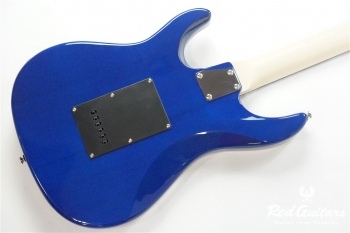 G-SN-CTM
